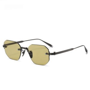Rayelle/ 2026-Spring-Sunglass